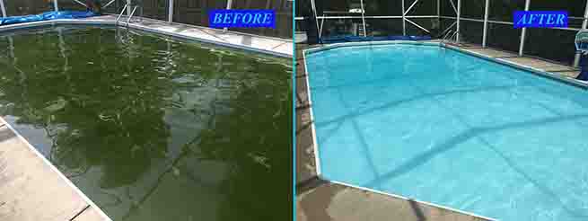 Green Pool Cleanup